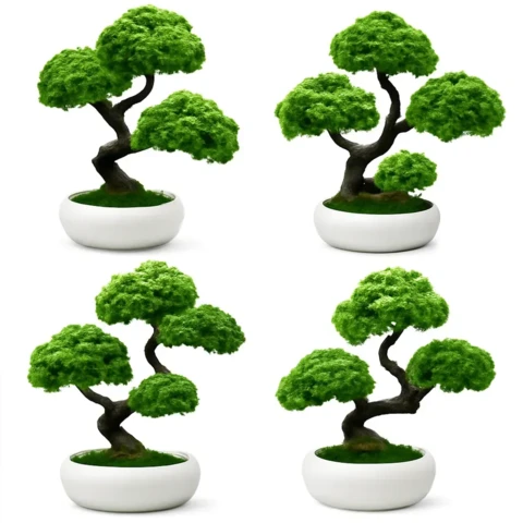 Бонсай Ягеля 23 см